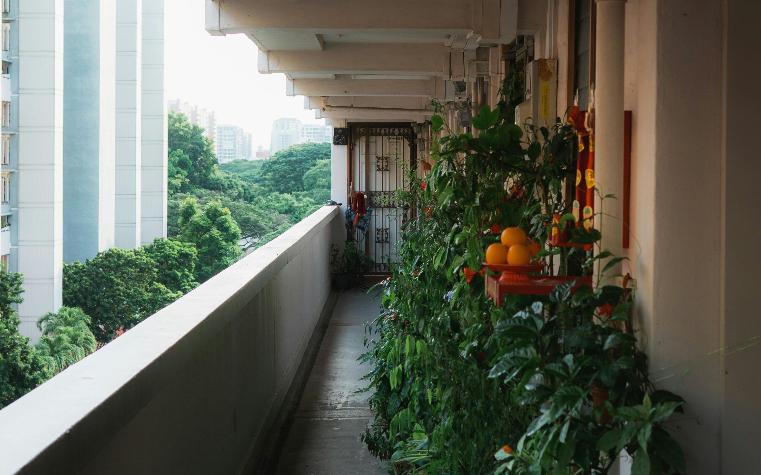 "Small apartment balcony with a container garden filled with lush green plants."